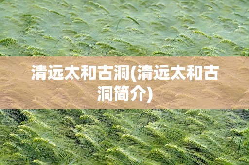 清远太和古洞(清远太和古洞简介)