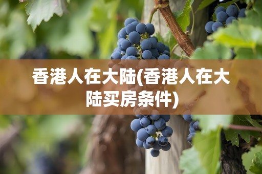 香港人在大陆(香港人在大陆买房条件)