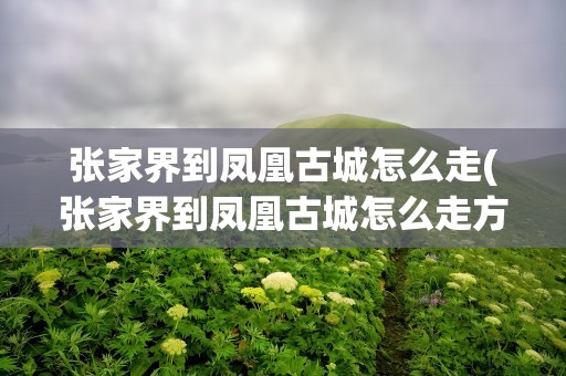 张家界到凤凰古城怎么走(张家界到凤凰古城怎么走方便)