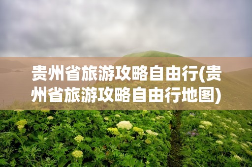 贵州省旅游攻略自由行(贵州省旅游攻略自由行地图)