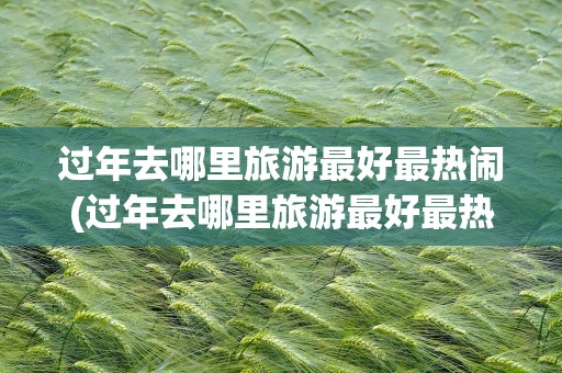 过年去哪里旅游最好最热闹(过年去哪里旅游最好最热闹呢)