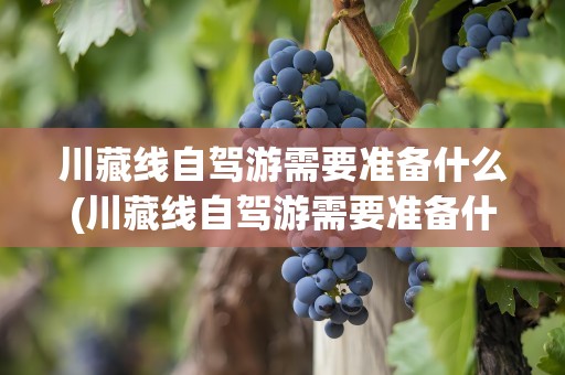 川藏线自驾游需要准备什么(川藏线自驾游需要准备什么东西)