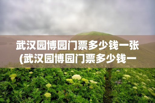 武汉园博园门票多少钱一张(武汉园博园门票多少钱一张票)