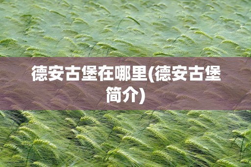德安古堡在哪里(德安古堡简介)