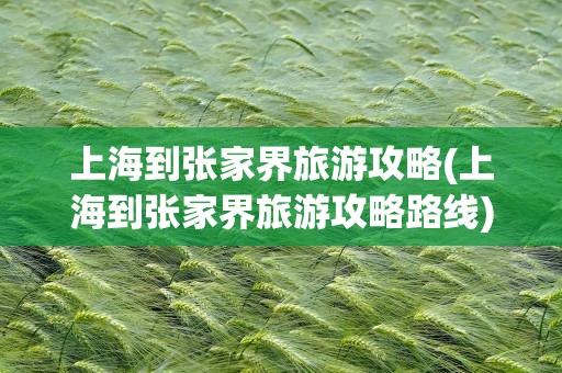 上海到张家界旅游攻略(上海到张家界旅游攻略路线)