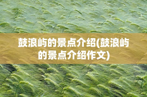 鼓浪屿的景点介绍(鼓浪屿的景点介绍作文)