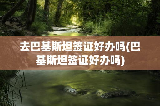 去巴基斯坦签证好办吗(巴基斯坦签证好办吗)