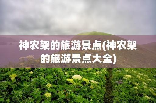神农架的旅游景点(神农架的旅游景点大全)
