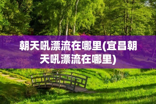朝天吼漂流在哪里(宜昌朝天吼漂流在哪里)