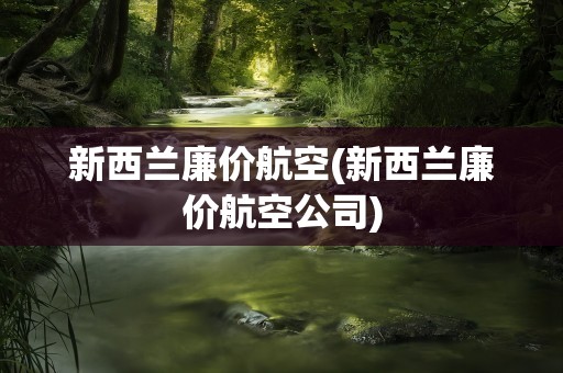 新西兰廉价航空(新西兰廉价航空公司)