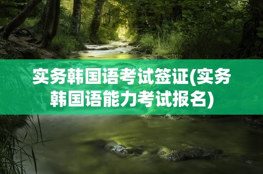 实务韩国语考试签证(实务韩国语能力考试报名)