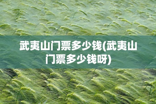 武夷山门票多少钱(武夷山门票多少钱呀)