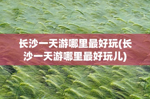 长沙一天游哪里最好玩(长沙一天游哪里最好玩儿)