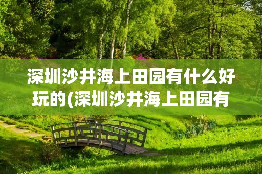 深圳沙井海上田园有什么好玩的(深圳沙井海上田园有什么好玩的吗)