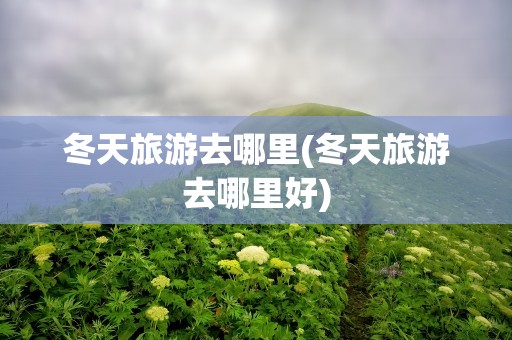 冬天旅游去哪里(冬天旅游去哪里好)