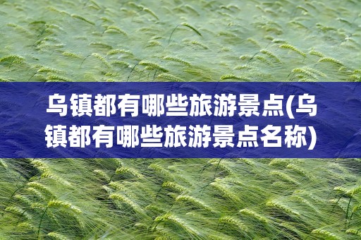 乌镇都有哪些旅游景点(乌镇都有哪些旅游景点名称)