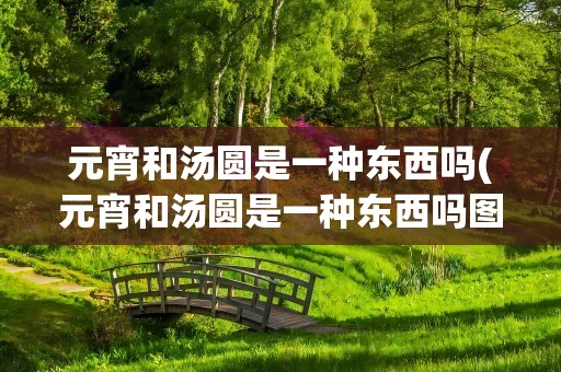 元宵和汤圆是一种东西吗(元宵和汤圆是一种东西吗图片)
