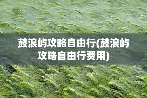 鼓浪屿攻略自由行(鼓浪屿攻略自由行费用)