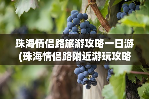 珠海情侣路旅游攻略一日游(珠海情侣路附近游玩攻略)
