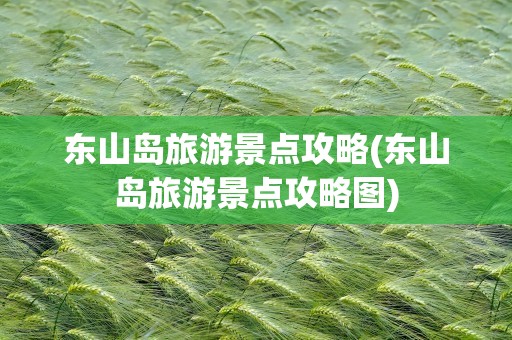 东山岛旅游景点攻略(东山岛旅游景点攻略图)