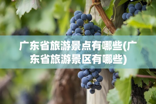 广东省旅游景点有哪些(广东省旅游景区有哪些)