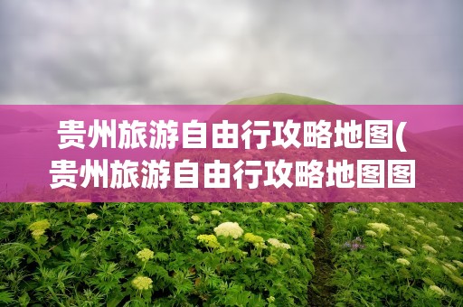 贵州旅游自由行攻略地图(贵州旅游自由行攻略地图图片)