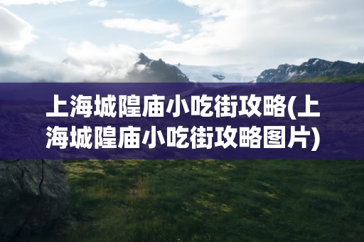 上海城隍庙小吃街攻略(上海城隍庙小吃街攻略图片)