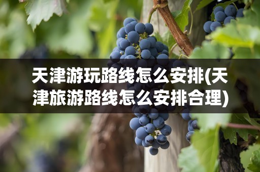 天津游玩路线怎么安排(天津旅游路线怎么安排合理)