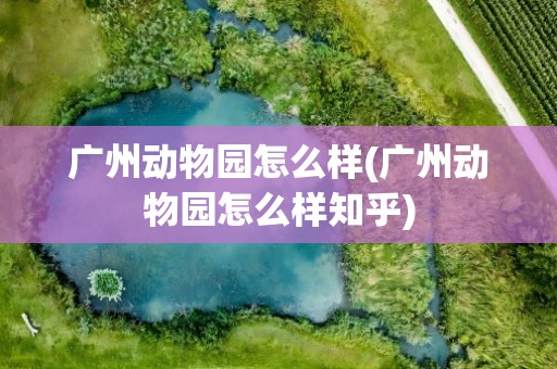 广州动物园怎么样(广州动物园怎么样知乎)