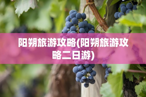 阳朔旅游攻略(阳朔旅游攻略二日游)