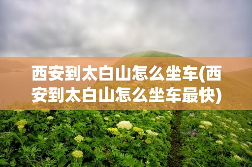 西安到太白山怎么坐车(西安到太白山怎么坐车最快)