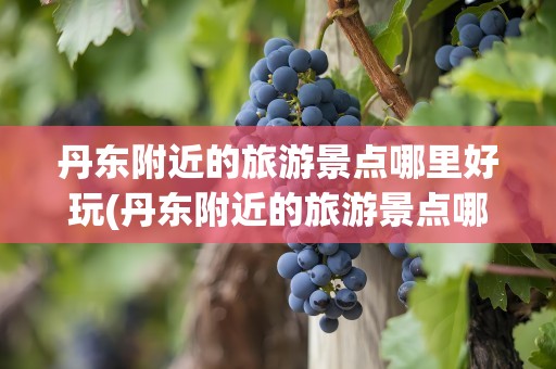 丹东附近的旅游景点哪里好玩(丹东附近的旅游景点哪里好玩儿)