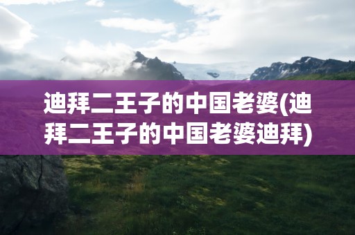 迪拜二王子的中国老婆(迪拜二王子的中国老婆迪拜)