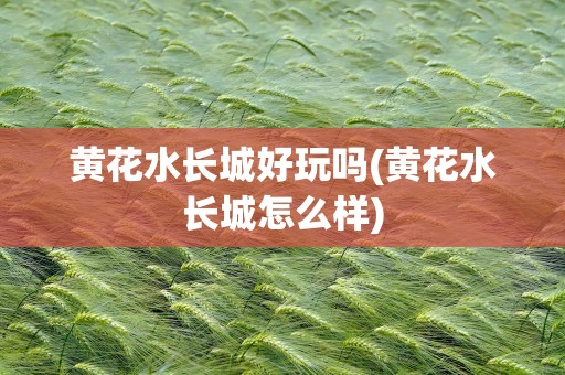 黄花水长城好玩吗(黄花水长城怎么样)