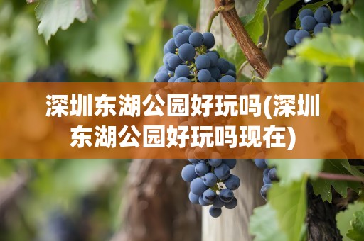 深圳东湖公园好玩吗(深圳东湖公园好玩吗现在)