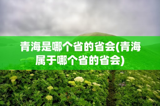 青海是哪个省的省会(青海属于哪个省的省会)