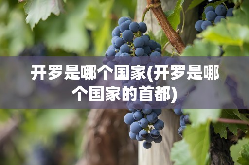 开罗是哪个国家(开罗是哪个国家的首都)