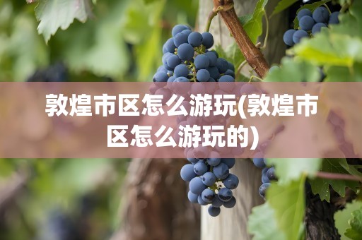 敦煌市区怎么游玩(敦煌市区怎么游玩的)
