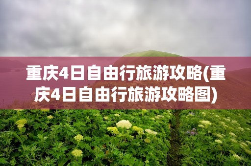 重庆4日自由行旅游攻略(重庆4日自由行旅游攻略图)