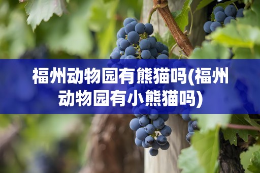 福州动物园有熊猫吗(福州动物园有小熊猫吗)