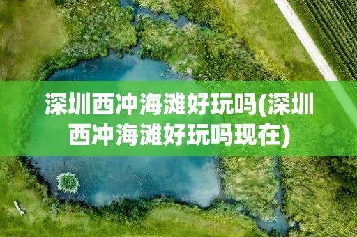 深圳西冲海滩好玩吗(深圳西冲海滩好玩吗现在)