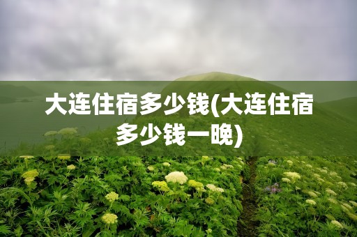大连住宿多少钱(大连住宿多少钱一晚)