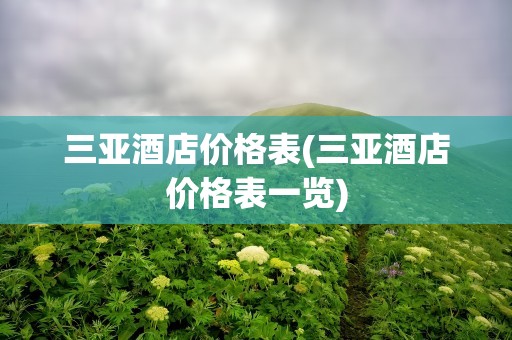 三亚酒店价格表(三亚酒店价格表一览)