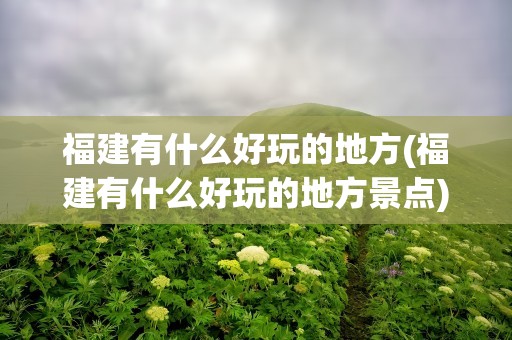 福建有什么好玩的地方(福建有什么好玩的地方景点)