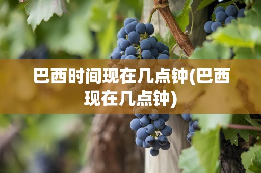 巴西时间现在几点钟(巴西现在几点钟)