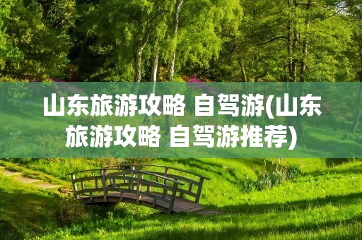 山东旅游攻略 自驾游(山东旅游攻略 自驾游推荐)