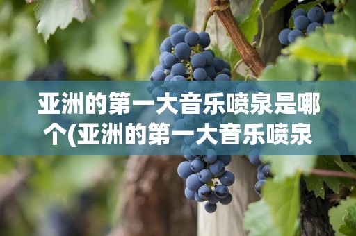 亚洲的第一大音乐喷泉是哪个(亚洲的第一大音乐喷泉是哪个城市)