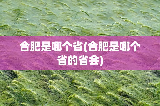 合肥是哪个省(合肥是哪个省的省会)