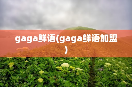 gaga鲜语(gaga鲜语加盟)