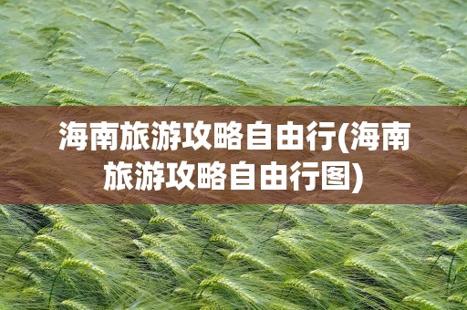海南旅游攻略自由行(海南旅游攻略自由行图)